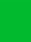 Люминесцентный зеленый 6038