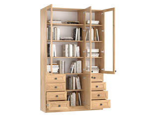Книжный шкаф Ньютон 3.9