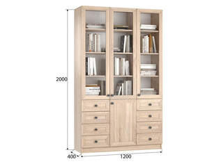 Книжный шкаф Ньютон 3.8