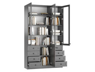 Книжный шкаф Ньютон 3.8