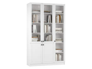 Книжный шкаф Ньютон 11.1