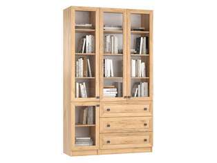Книжный шкаф Ньютон 12.1