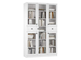 Книжный шкаф Ньютон 3.10