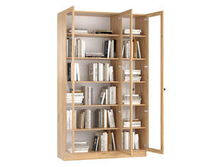 Книжный шкаф Ньютон 3.1