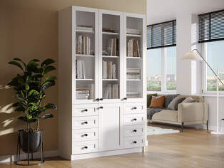 Книжный шкаф Ньютон 3.9