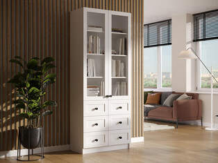 Книжный шкаф Ньютон 2.5