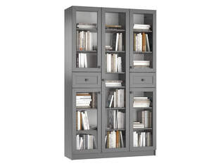 Книжный шкаф Ньютон 3.10