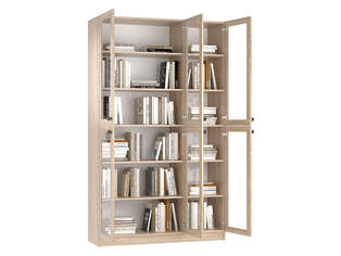 Книжный шкаф Ньютон 3.2