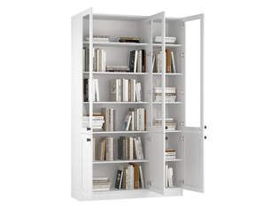 Книжный шкаф Ньютон 3.3