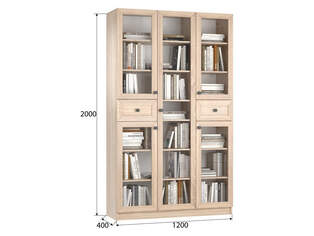 Книжный шкаф Ньютон 3.10