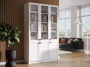 Книжный шкаф Ньютон 3.3