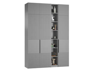 Шкаф распашной Тайлер 3