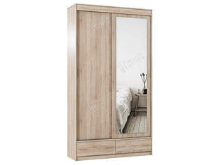 Шкаф купе Светлана 2 МНР П1234