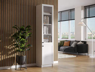 Шкаф пенал Ньютон 3