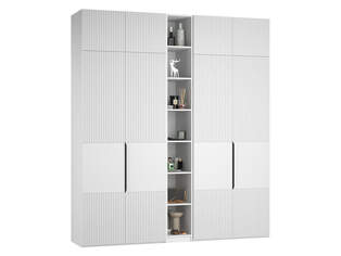 Шкаф распашной Тайлер 5