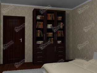 Книжный шкаф  Библиограф 3.9