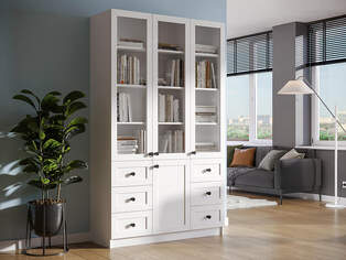 Книжный шкаф Ньютон 3.7