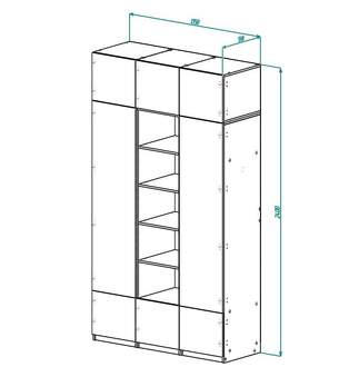Шкаф распашной Дуглас 3