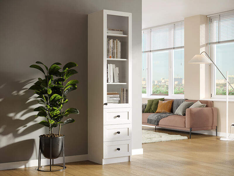 Шкаф пенал Ньютон 5