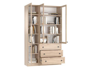 Книжный шкаф Ньютон 12.1