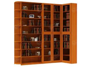Книжный шкаф Талисман 1