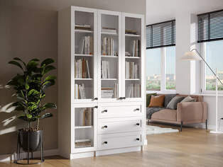 Книжный шкаф Ньютон 12.1