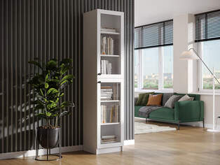 Шкаф пенал Ньютон 2