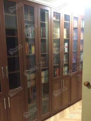 Книжный шкаф  Гала 8 