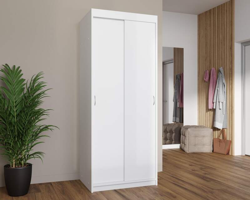 Шкаф купе Эко 2 п17525