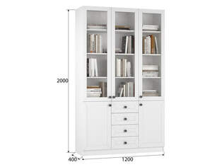 Книжный шкаф Ньютон 3.8