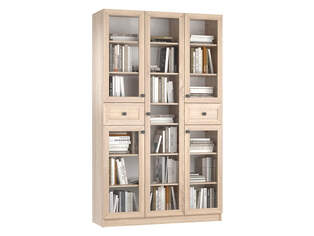 Книжный шкаф Ньютон 3.10