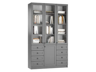 Книжный шкаф Ньютон 3.8