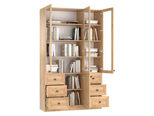 Книжный шкаф Ньютон 3.7