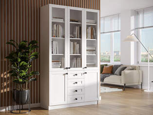 Книжный шкаф Ньютон 3.8