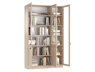 Книжный шкаф Ньютон 11.1