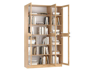 Книжный шкаф Ньютон 3.2