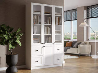 Книжный шкаф Ньютон 3.5