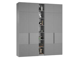 Шкаф распашной Тайлер 5