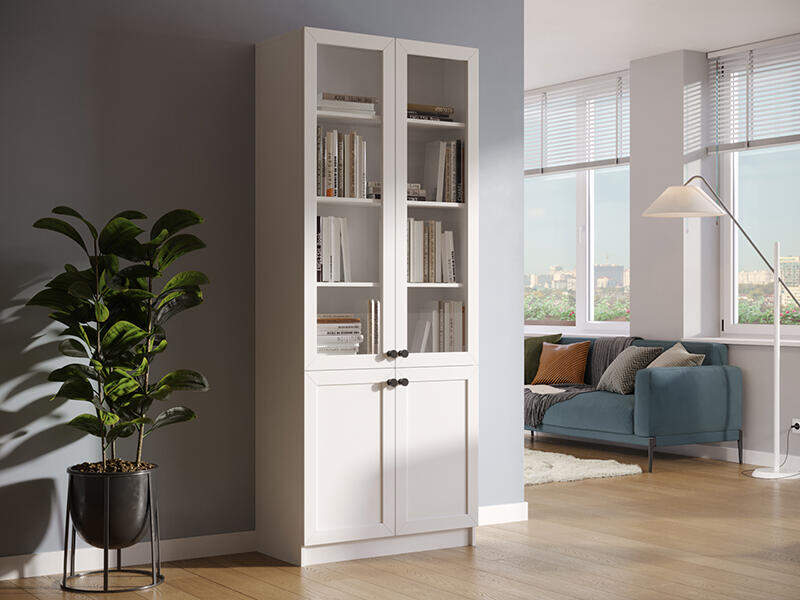 Книжный шкаф Ньютон 2.2