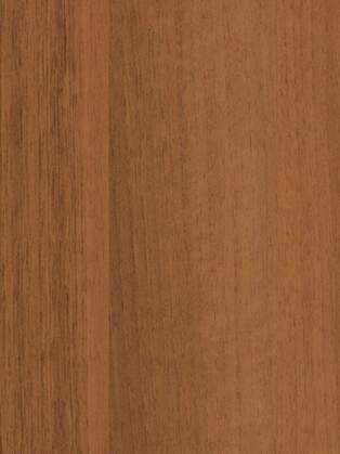 Шкаф купе Светлана 2 МНР П1234