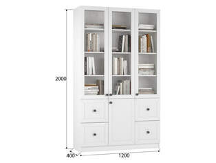 Книжный шкаф Ньютон 3.5