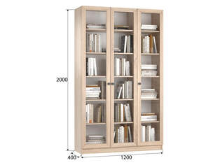 Книжный шкаф Ньютон 3.1