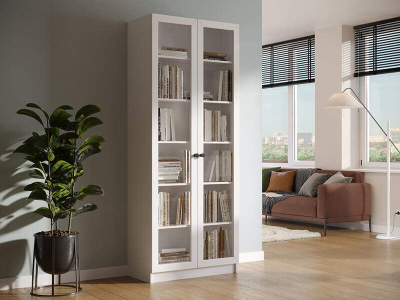 Книжный шкаф Ньютон 2.1