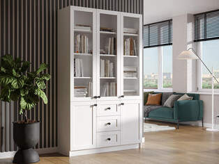 Книжный шкаф Ньютон 3.6