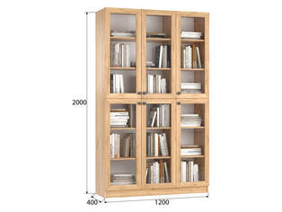 Книжный шкаф Ньютон 3.2