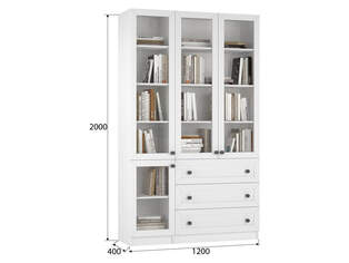 Книжный шкаф Ньютон 12.1