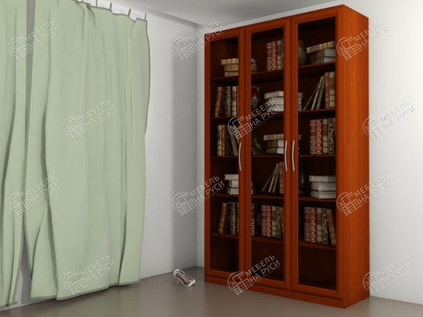 Книжный шкаф  Библиограф 3.1