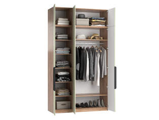 Шкаф распашной Тайлер 2