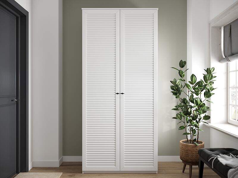 Шкаф распашной Канзас П23998