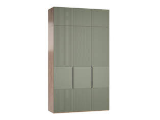 Шкаф распашной Тайлер 2